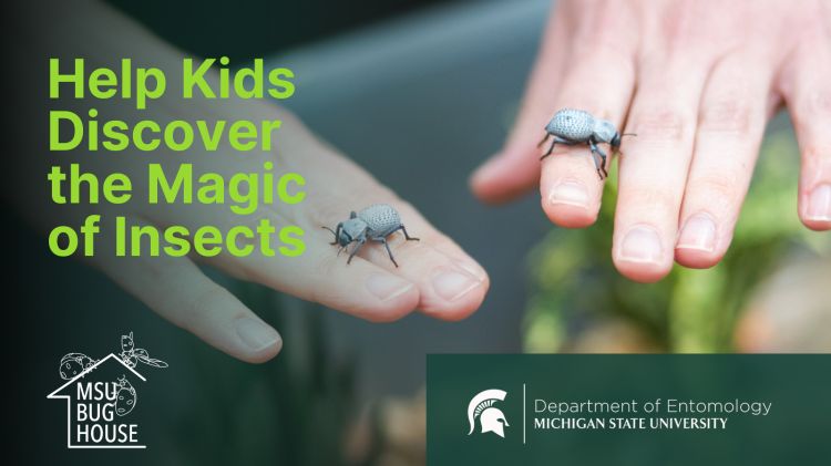Help Kids Discover the Magic of Insects
MSU Bug House
Department of Entomology
Michigan State University
