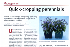 Quick-cropping perennials