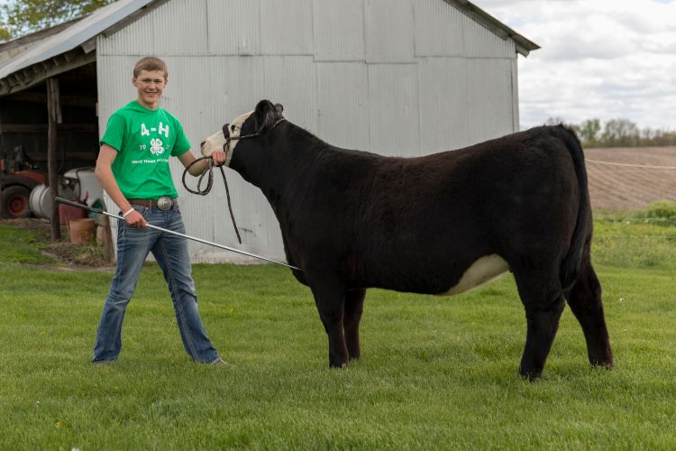 4-H'er with his livestock project at home.