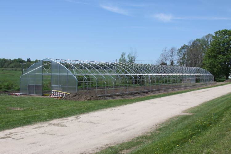 Hoophouse at MSU UPREC's North Farm