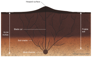 Mole drains: A cheap alternative to subsurface tile drainage
