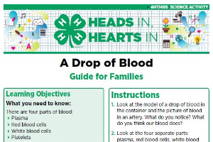 Heads In, Hearts In: A Drop of Blood