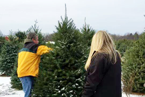 Tips for success with your first real Christmas tree