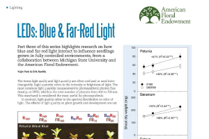 LEDs: Blue & far-red light