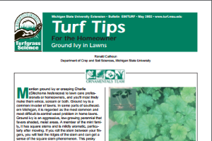 Ground Ivy Control for Home Lawns (E0006TURF)