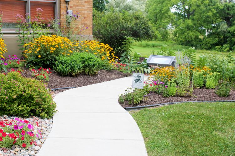 Planted flowers in mulch next to a sidewalk path.