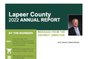 Lapeer County Annual Report: 2022