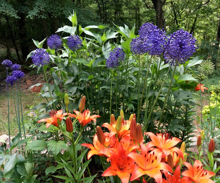 Extend The Gardening Season With What Spray Paint Msu Extension
