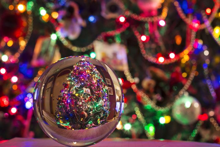 Have A Safe And Worry Free Christmas Msu Extension