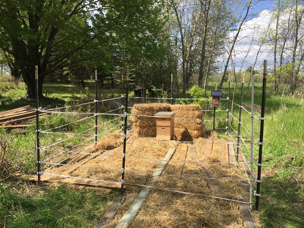 Beehives protected by an electric fence. Photo by USDA - Public domain