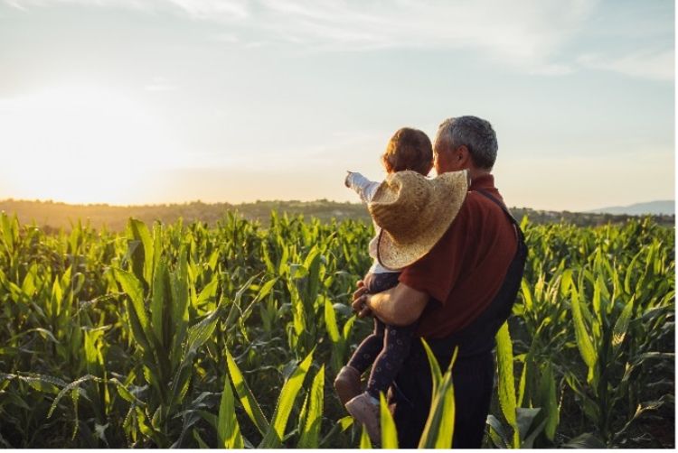 A photo of a person holding a child in a corn field watching the sun set.