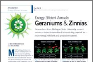 Energy-efficient annuals 7: Geraniums & zinnias