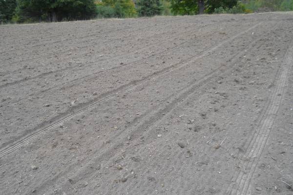 Prepping an old, neglected field for crop production - Part 2 of 2 