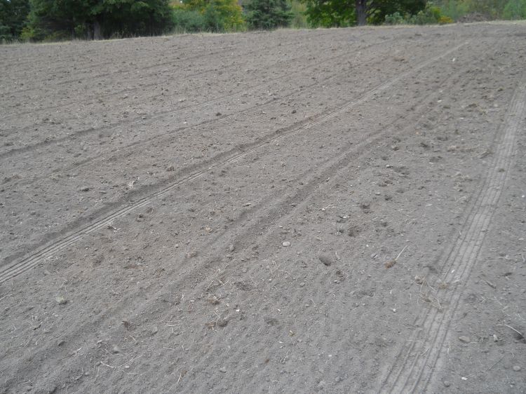 Preparation work is finished at a trial site at the MSU Upper Peninsula Research and Extension Center in Chatham, Michigan.