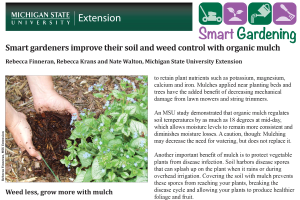 Smart gardeners improve their soil and weed control with organic mulch