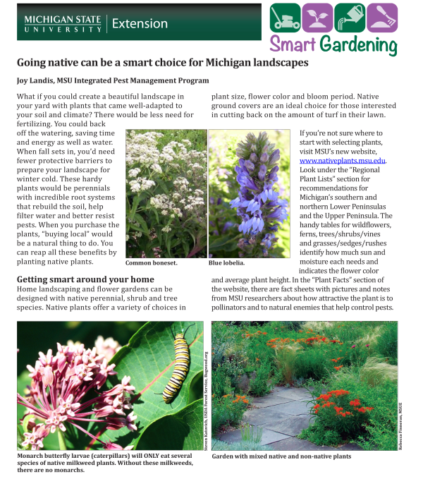Planes de jardín para plantas nativas de Michigan