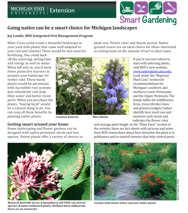 Going Native Can Be A Smart Choice For Michigan Landscapes Gardening In Michigan