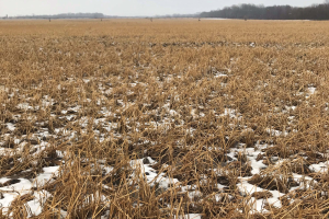 Farm Bill ACR/PLC update for Michigan — near crunch time!