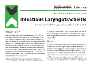 Infectious Laryngotracheitis (E3177)