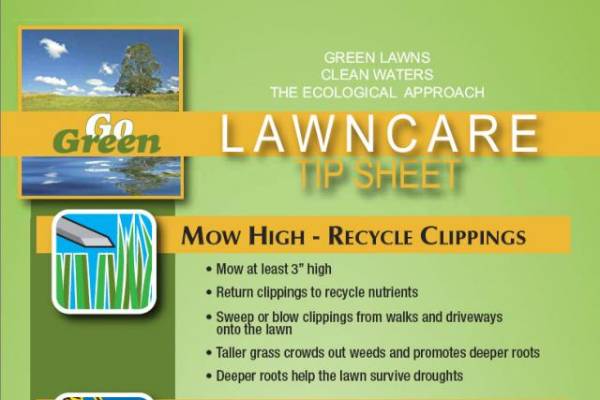 Spring lawn clearance care schedule