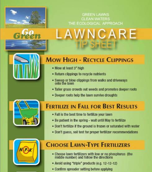 Fertilizer Numbers For Root Growth - Garden Bugs