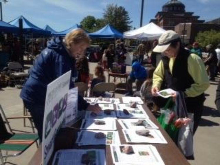 Cathy Starrett, Smart Gardening outreach volunteer, assists downtown Marquette, Michigan, farmer’s market attendees with Smart Gardening tip sheets. Photo by Linda Winslow.