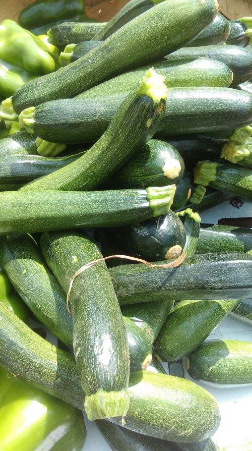Eight Tips For Donating Fresh Produce To Food Pantries Msu Extension