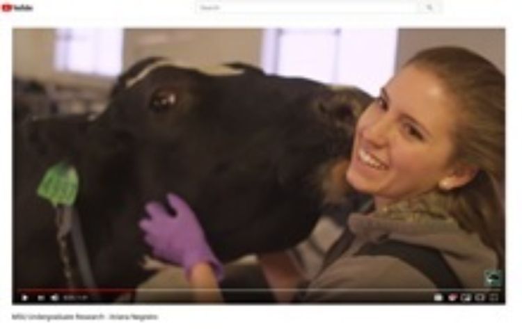 Video frame: Ariana Negreiro