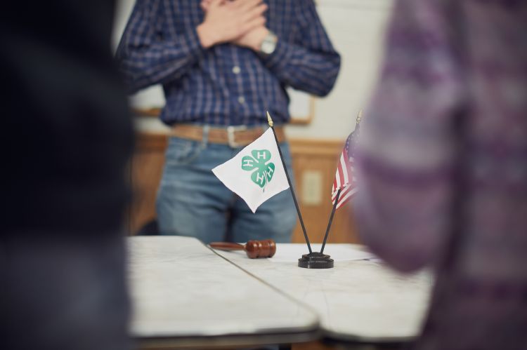 4-H flag on a table