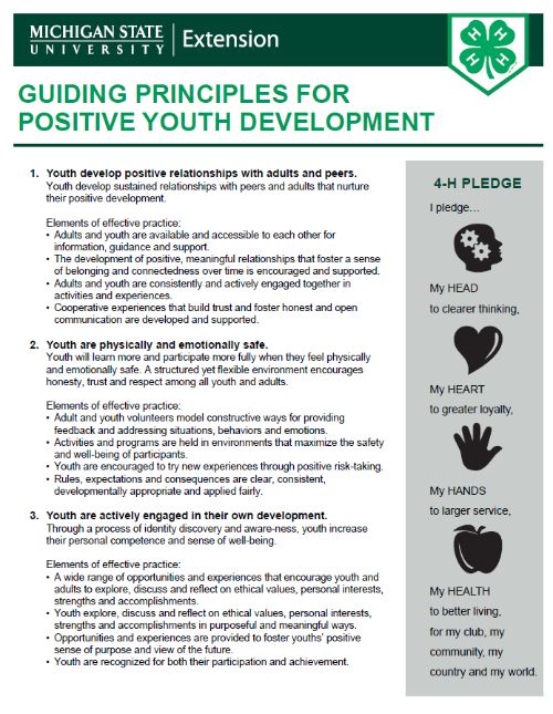 Thumbnail image of the 4-H Guiding Principles document.