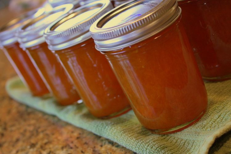 Canned apricot jam