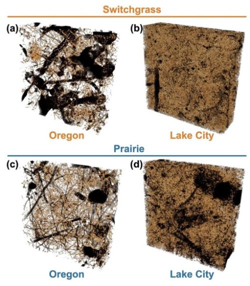 Visualization from the paper