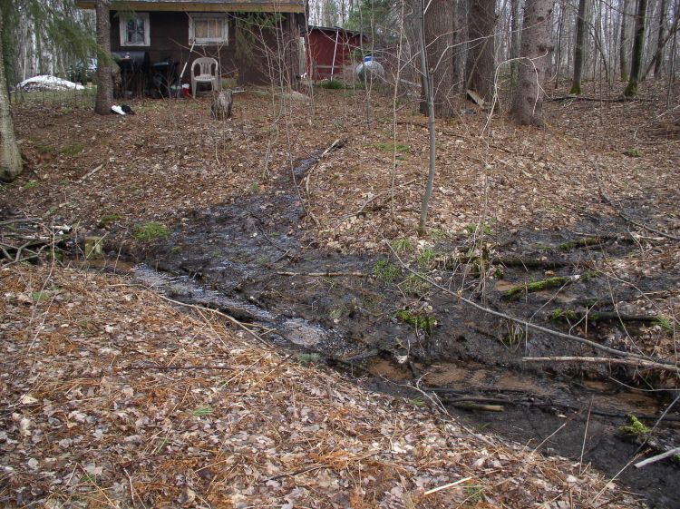 Sewage discharging directly to creek. Photo credit: Marquette County Health Department