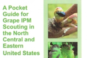 A Pocket Guide for Grape IPM Scouting in North Central and Eastern U.S. (E2889)