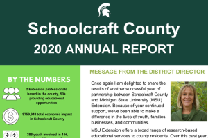 Schoolcraft County Annual Report: 2020