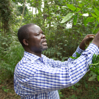 John R.S. Tabuti in the field