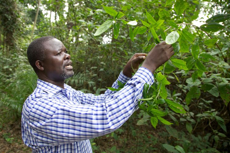 John R.S. Tabuti in the field