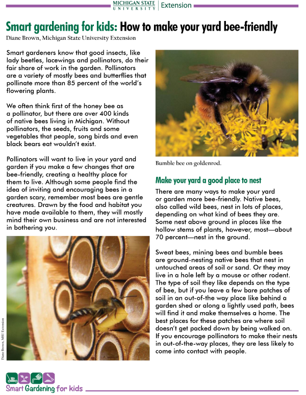 II. Why is it important to create bee-friendly structures?