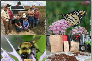 New resources in Michigan provide seeds for pollinator habitat