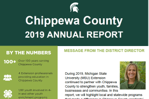 Chippewa County Annual Report: 2019