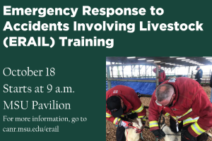 Michigan State University Extension offers training for first responders, law enforcement officials and others on responding to accidents involving livestock