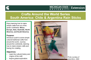 Craft Around the World Series South America: Chile & Argentina Rain Sticks