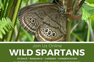 Wild Spartans Series: “Butterflies, Bivalves, Birds, and Beyond!”