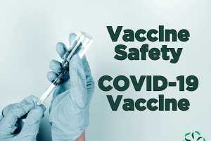 research covid vaccine safety