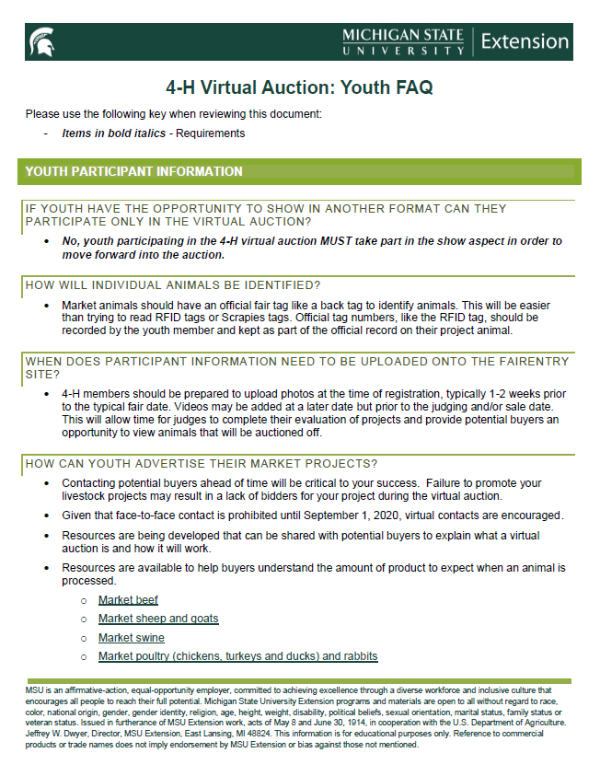 Thumbnail of the 4-H Virtual Auction: Youth FAQ document.