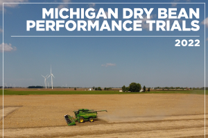 Michigan Dry Bean Performance Trials