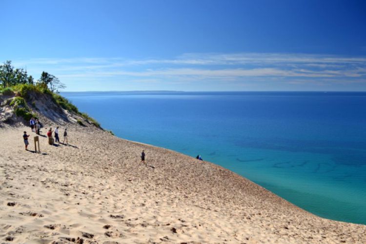 Learn About Great Lakes Ice Cover New Invasive Species And How Poop Sniffing Dogs Help Beaches Msu Extension