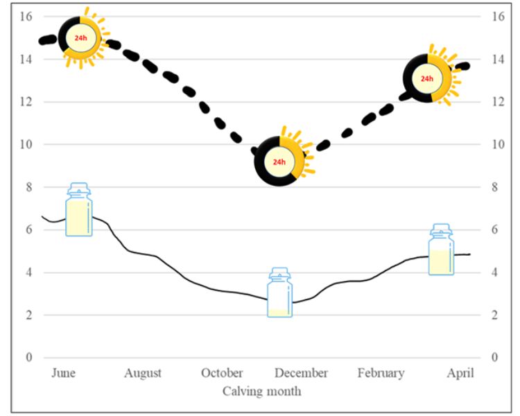 Effects of colostrum management on transfer of passive immunity