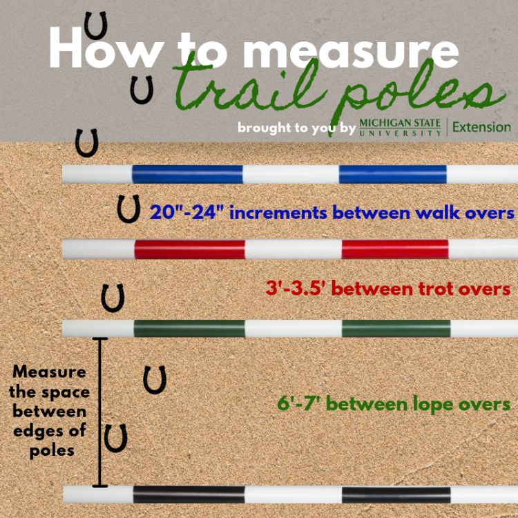 Graphic on how to measure trail poles
