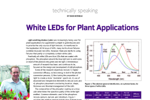 White LEDs for plant applications